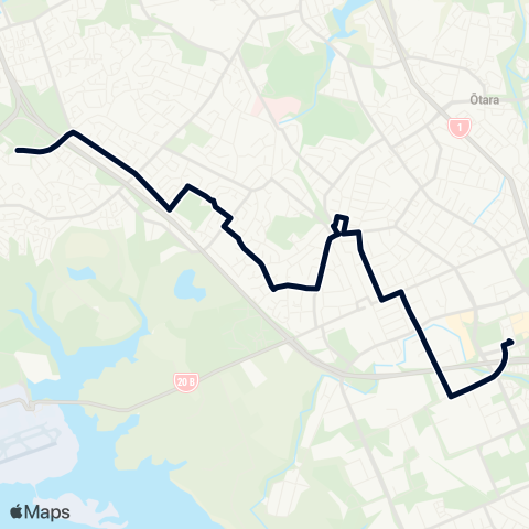 Auckland Transport 313 map