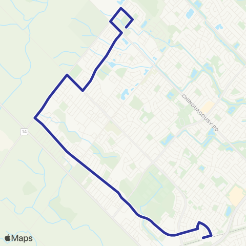 Brampton Transit Mount Pleasant map