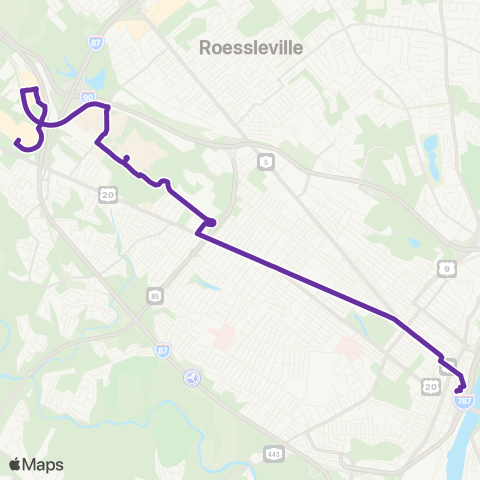 BusPlus (CDTA) Purple map