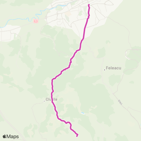 CTP Cluj Cluj N.– sat Saliste map