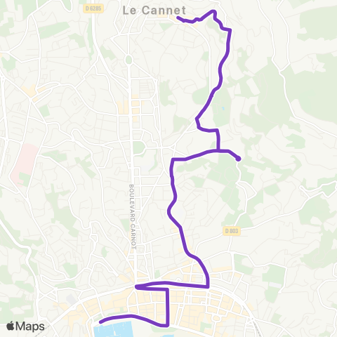 Palmbus Pl. Leclerc - Polyclinique / Pl. Aubanel - Hôtel de Ville map