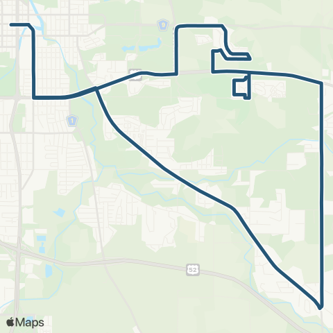 Rochester Public Transit 217 map