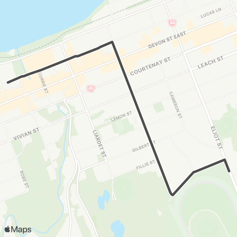 Citylink School buses NPBHS to Ariki St (afternoon only) map